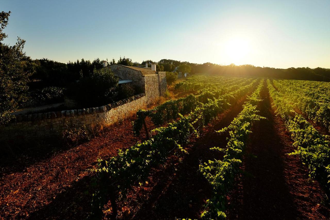 Masseria Trulli E Vigne มาร์ตินาฟรังกา ภายนอก รูปภาพ